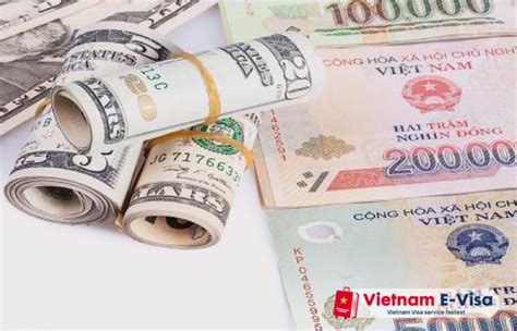 vietnam evisa payment failed